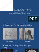 Blondeau - Hitz