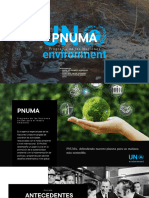 PNUMA-G5