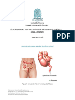 6.1. Apendicectomia