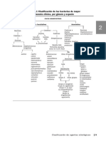 Tratamiento Enfermedades Infecciosas Ops