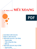 ENT 600 - Viem Mui Xoang Cap Va Man Tinh - 2020F - Lecture Slides - 6,7