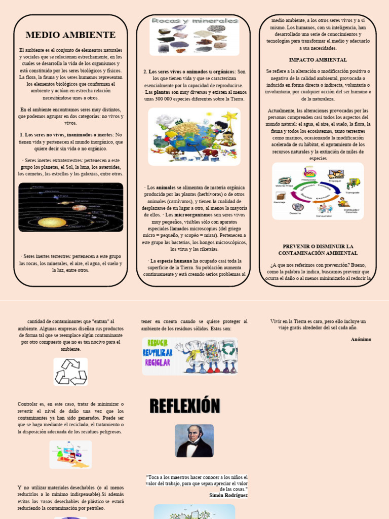 Triptico Del Medio Ambiente 2 | PDF | Entorno natural | Vida