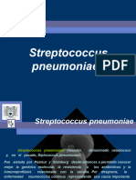 13b (S Pneumoniae)