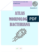 Atlas de Morfologia Bacteriana Bacteriologia - Compress