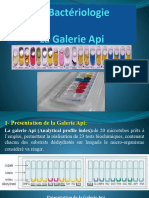 TP Bactériologie Galerie API