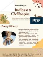 Slide Indigenas e Afro Brasileiros