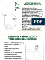 Traumatismos en Cadera y Pelvis en El Adultos (Vidal)