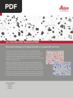 Leica LAS X Software Module Cast Iron Expert EN