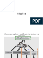 Aula 9 - Glicólise e Destinos Do Piruvato