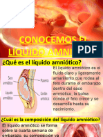 Presentacion El Liquido Amniotico