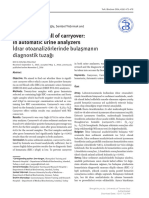 Diagnostic Pitfall of Carryover in Automatic Urine Analyzers