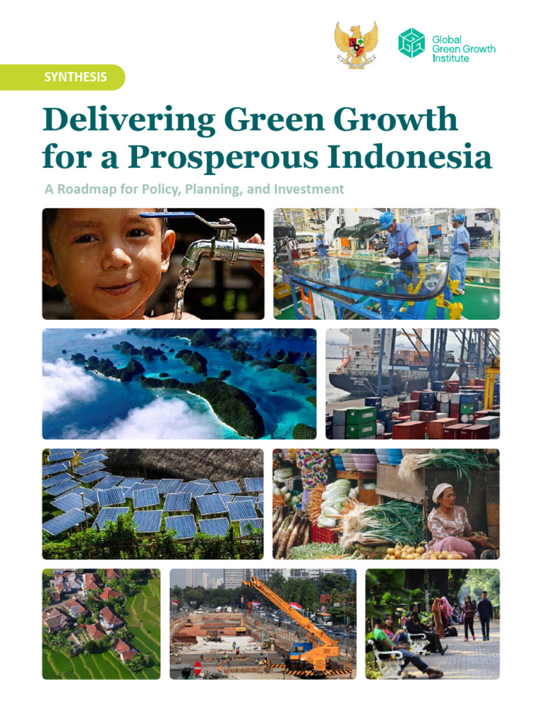Delivering Green Growth For A Prosperous Indonesia A Roadmap For Policy