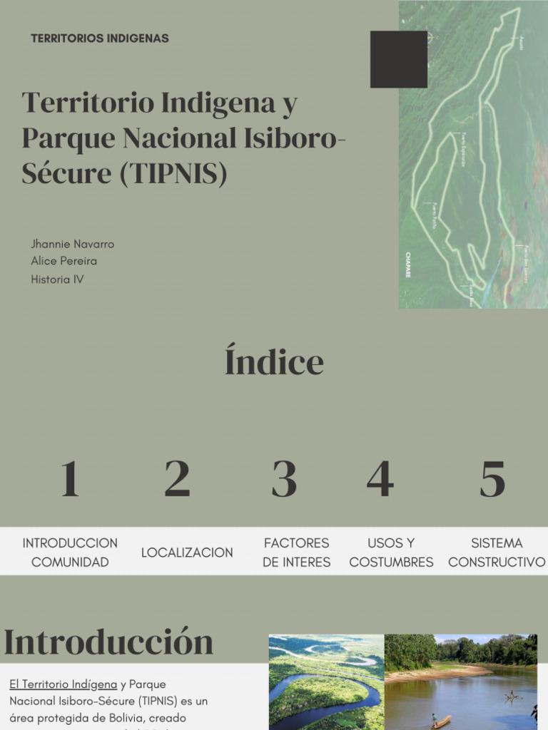 Territorio Indigena y Parque Nacional IsiboroSécure (TIPNIS) PDF