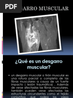 Desgarro Muscular