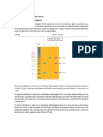 ACTIVIDAD 1 - Detección de Polimorfismos Por RFLP - Sandra Ramírez Ibáñez