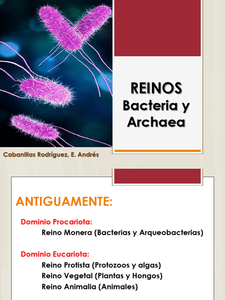 21 Dominio Bacteria y Archaea 5to Sec | PDF | Archaea | Las bacterias