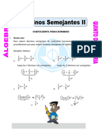 Terminos Fraccionarios