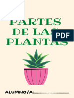 Partes de Las Plantas