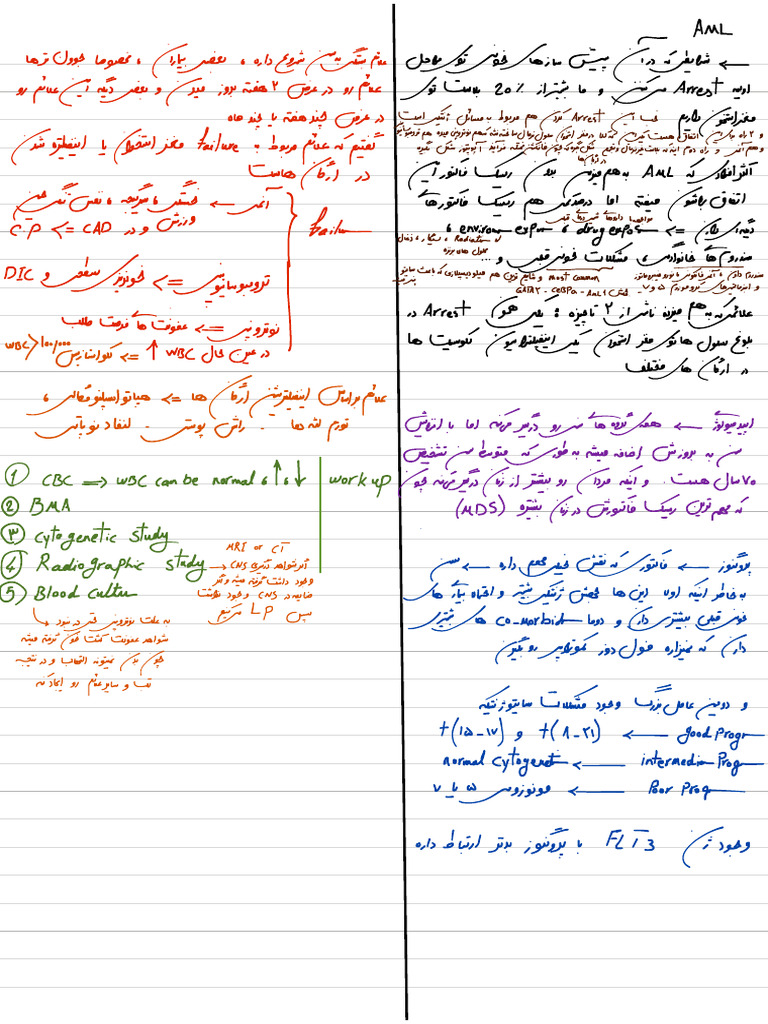 Note Jan 28 2024 at 23 - 36 - 21 | PDF