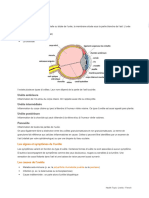 Uveitis HT French