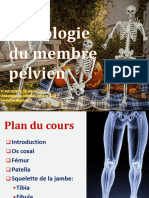 Ostéologie Membre Pélvien 2023
