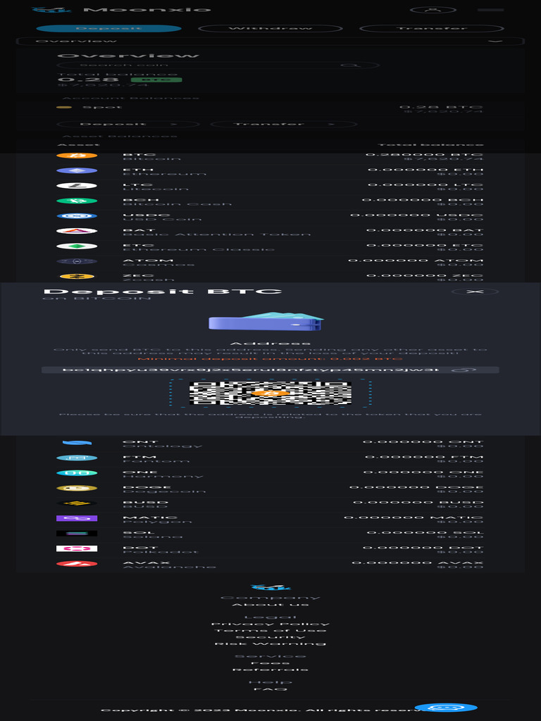 Balance - Moonxio | PDF | Bitcoin | Banking Technology