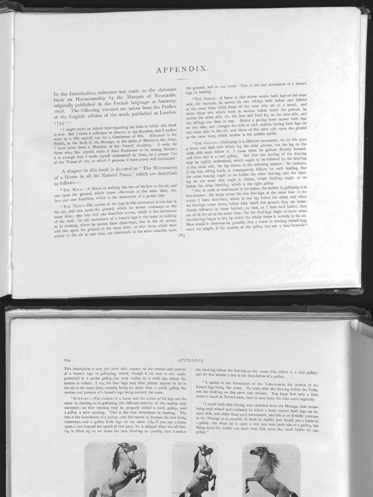 056 End Matter | PDF