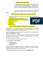 Estructura Del Sistema Celular