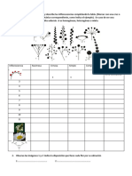 Tarea Complementaria Inflorescencia