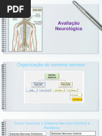 Neurocheck Padrão | PDF | Testes | Medicina Intensiva