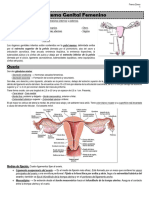 Anatomía - Sistema Genital Femenino