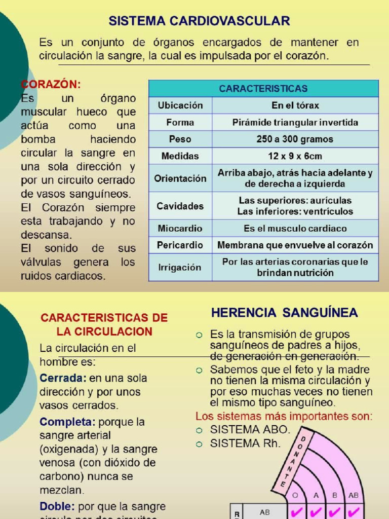 Cardiovascular | PDF