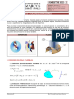 Gua 10 Funciones de Varias Variables