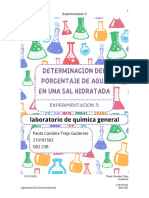 Informe 1 - PCTG - Fase Experimental..