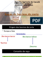 Raças Bovinos de Corte