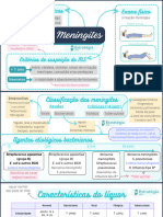 Mapa Mental - Meningites