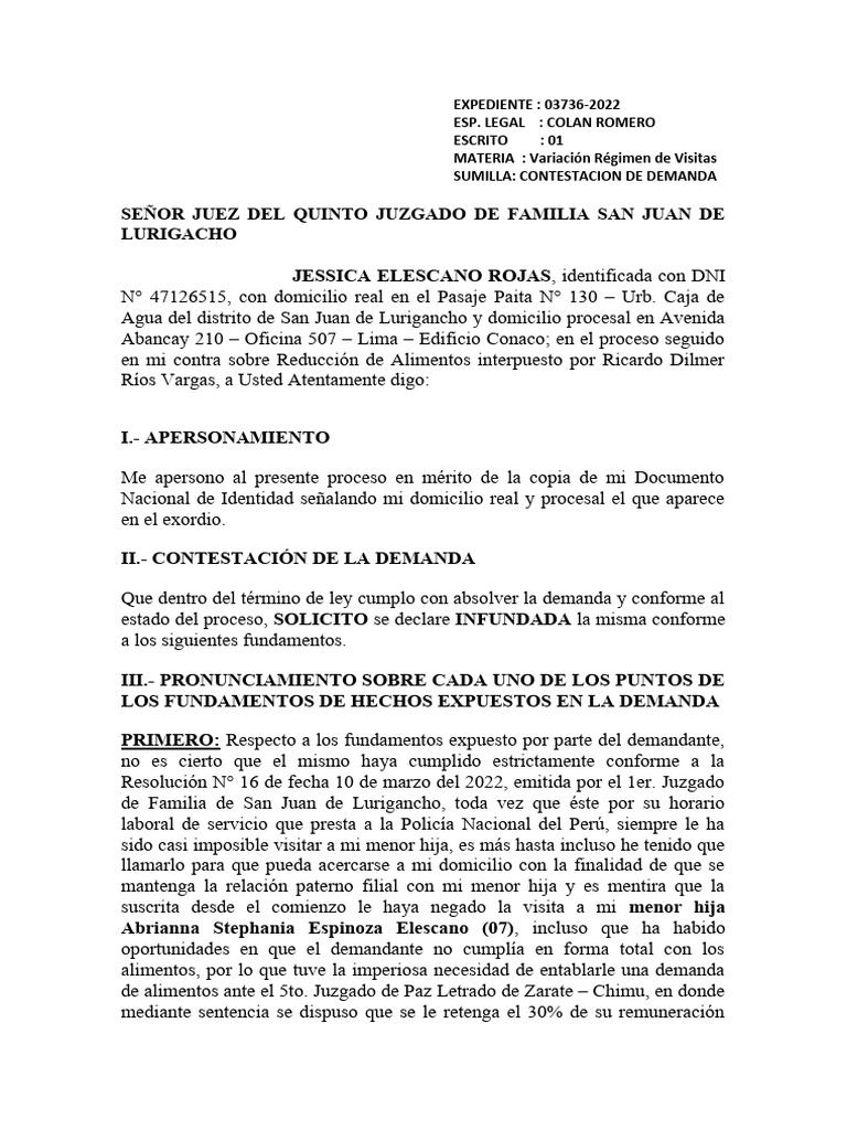 Contestación de Demanda de Visitas | PDF | Demanda judicial | Gobierno