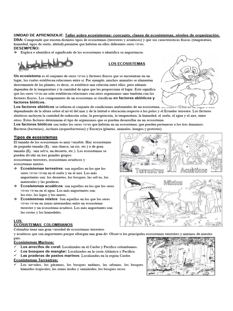 Tipos y Componentes de Ecosistemas | PDF | Ecosistema | Suelo