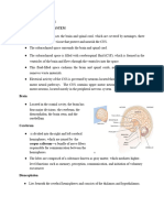 Neurologic System