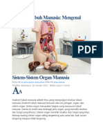 Sistem-Sistem Organ Manusia