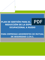 Formato - Plan de Gestion de Riesgo para El Control y Reduccion de La Exposicion A Ruido