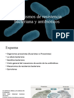 Introducción Antibióticos y Mecanismos de Resistencia Bacteriana