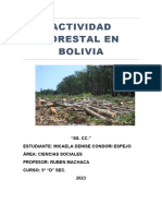 Actividad Forestal en Bolivia