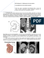 Radiologia ASE13 Problema 02 Completo