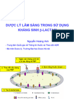 Dac Tinh PK PD Trong Su Dung Khang Sinh Betalactam