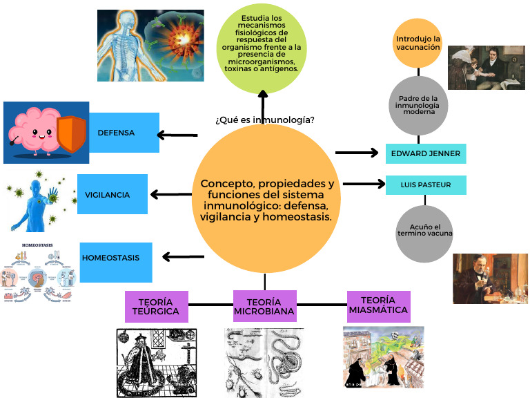 Conceptos Clave de Inmunología | PDF | Inmunología | Medicina