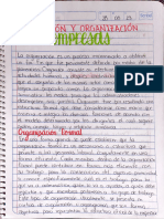 Tarea Organización