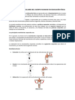 Movimientos Articulares Del Cuerpo Humano