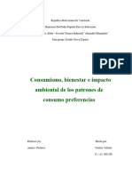 Consumismo, Bienestar e Impacto Ambiental.