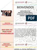 Presentacion Pract Prof 2024